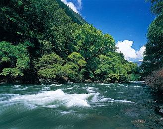 《The Final》表现没有达到预期 发行商正在寻找原因