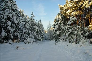 KK官方对战平台GG全能王挑战赛：四大明星战队已集结，谁是真正全能王！